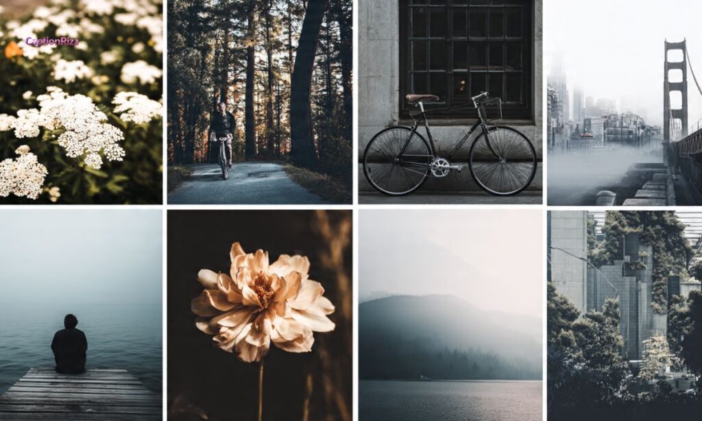 Elegant Simplicity Captions for Instagram