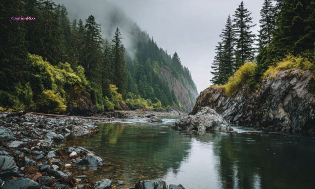 Short Nature Captions for Instagram