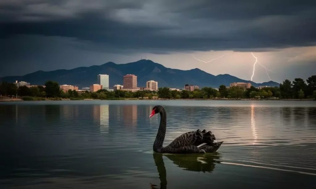 Black Swan Events Albuquerque