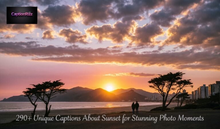 290+ Unique Captions About Sunset for Stunning Photo Moments