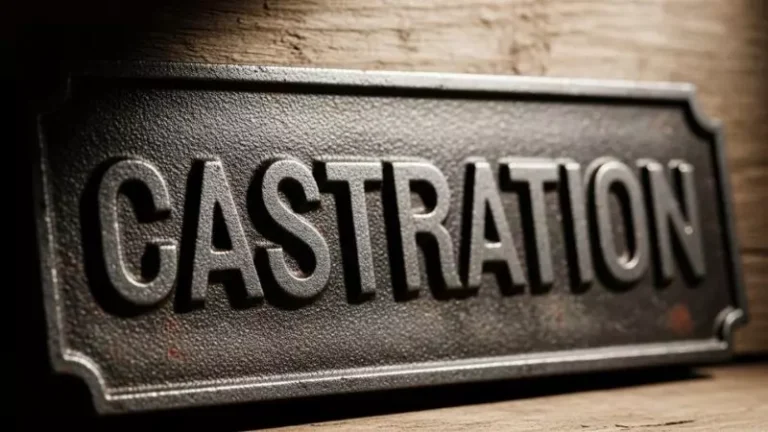 Castration Captions