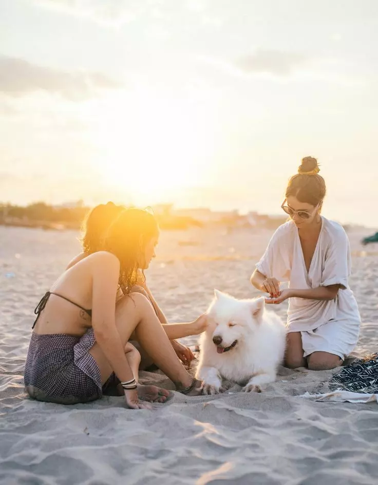 Sea Beach Instagram Captions