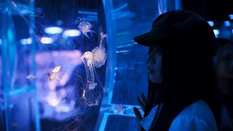 Aquarium Instagram Captions